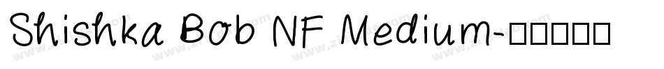 Shishka Bob NF Medium字体转换